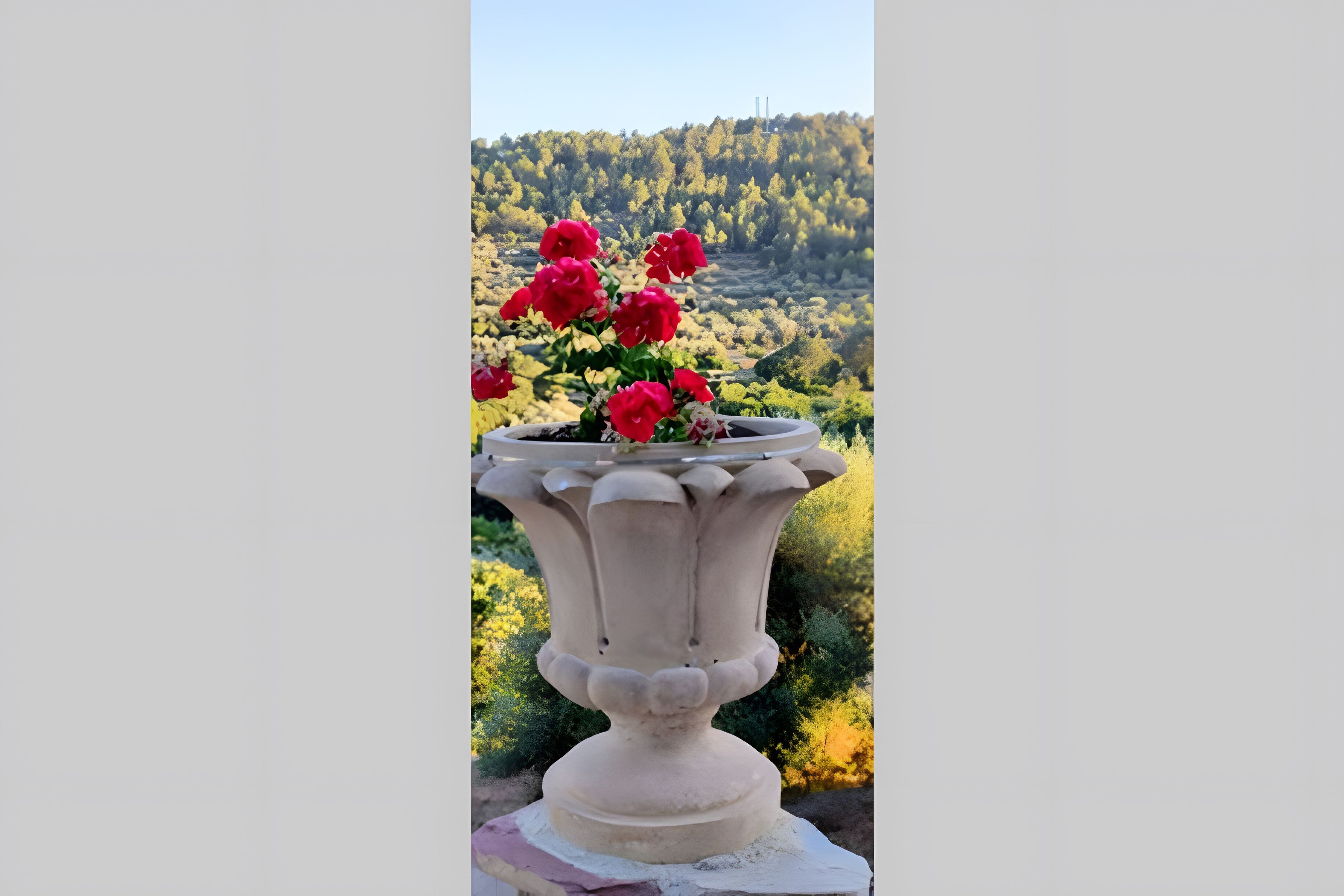 Una maceta grande y ornamentada con flores rojas, frente a un paisaje montañoso.