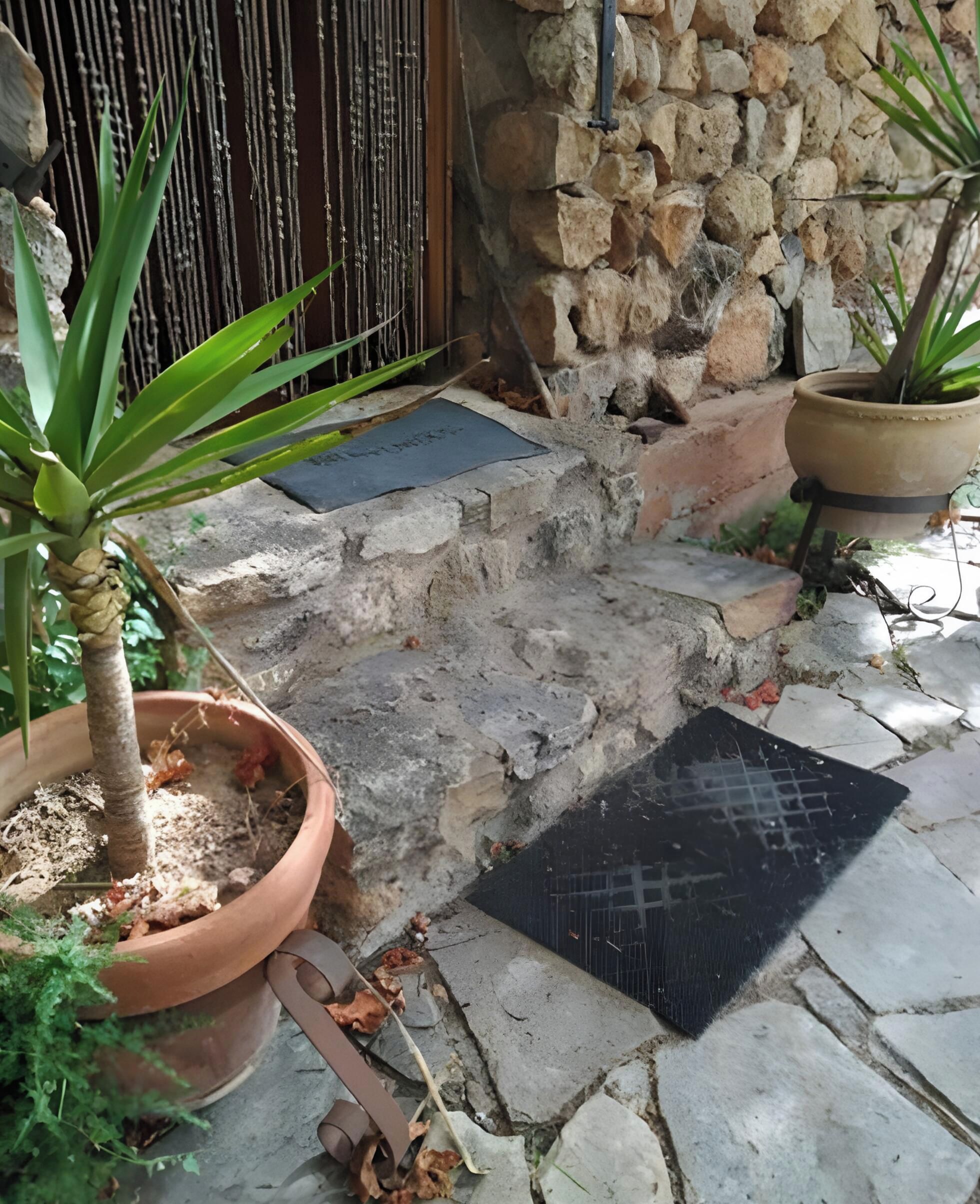 Un sendero de piedra conduce a una puerta, flanqueada por macetas con plantas y una reja metálica.
