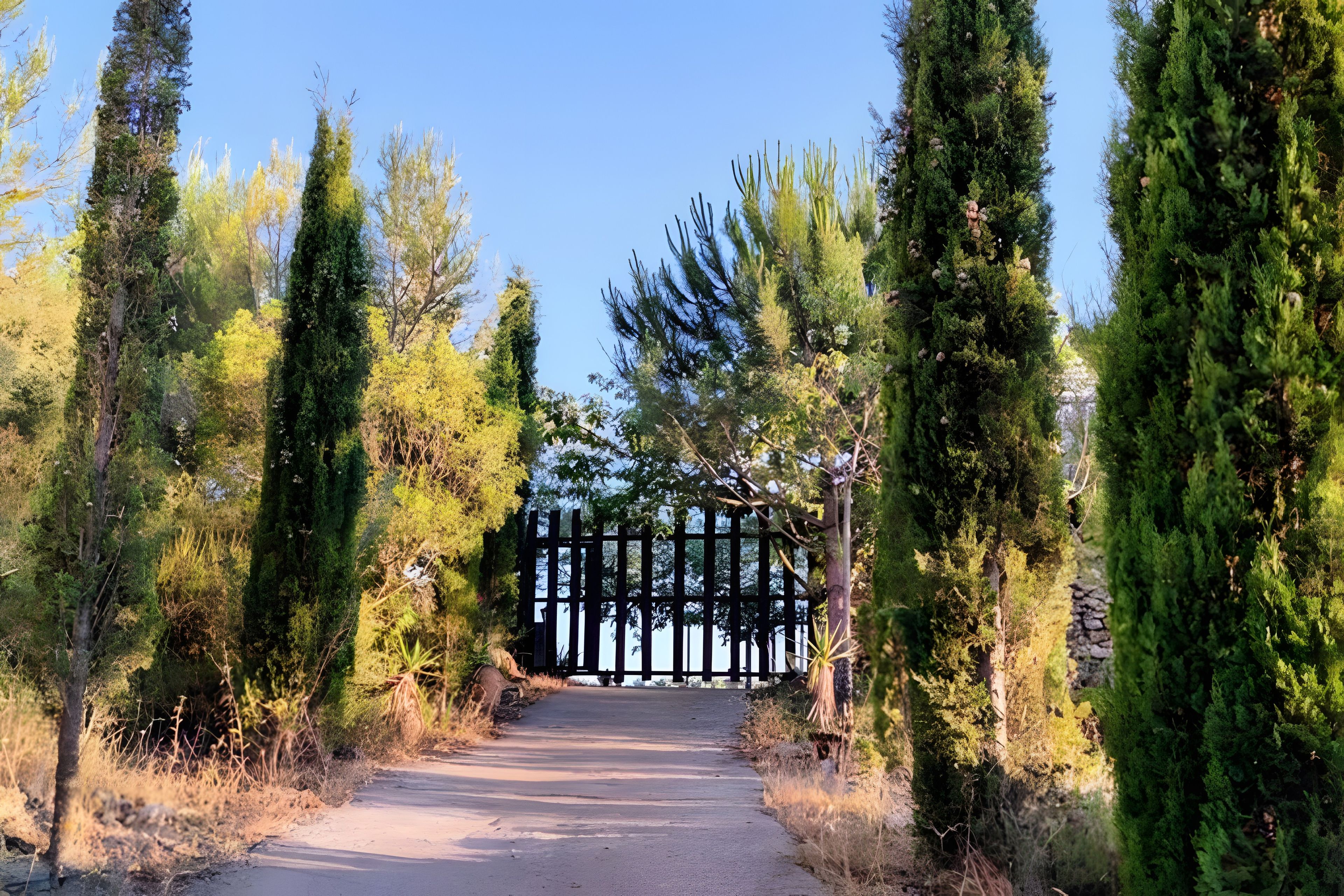 Un sendero que atraviesa un área boscosa con una valla de madera al fondo.