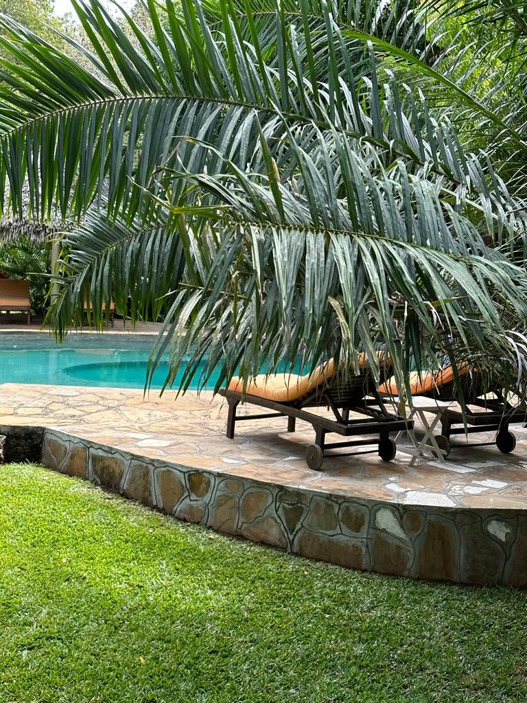Un área junto a la piscina con terraza de piedra, una tumbona y una palmera.