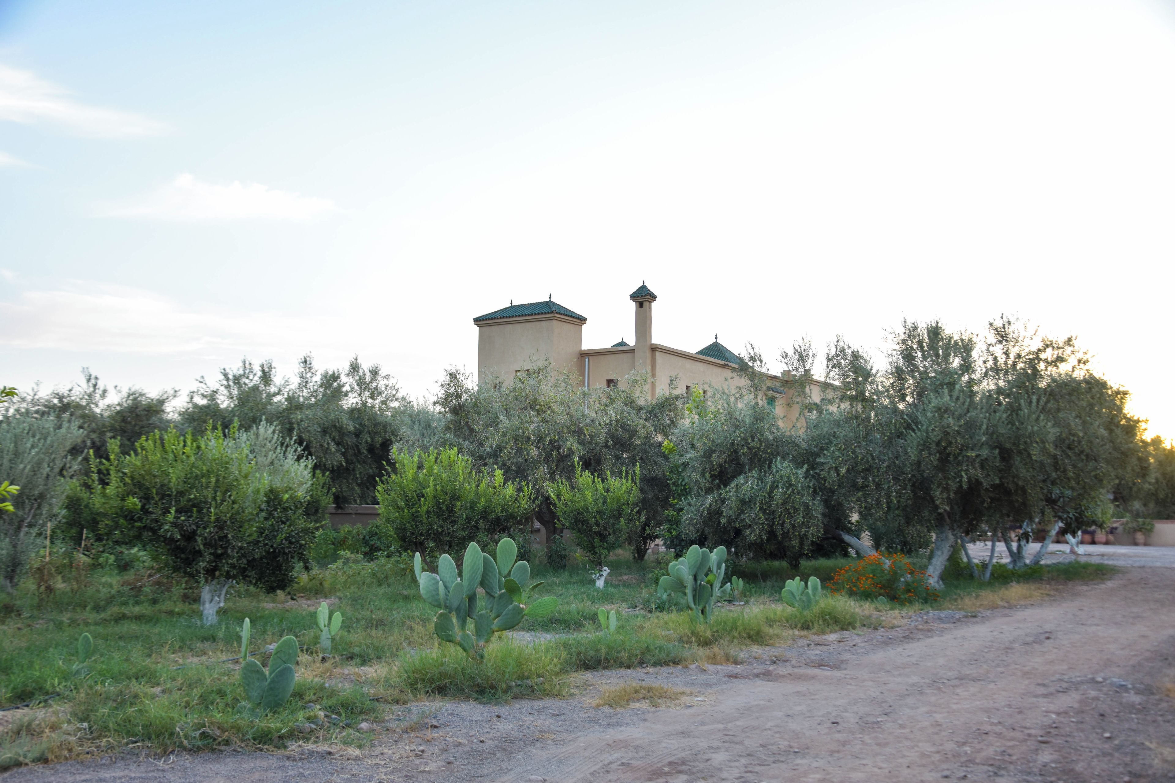 Ein Gebäude mit flachem Dach und Schornstein, umgeben von dichter Vegetation und einem Feldweg.