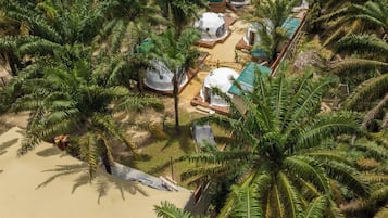 Un complexe hôtelier doté de logements en forme de dôme, entouré de palmiers et bordé d’une plage de sable.