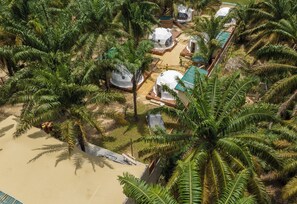 A resort with dome-shaped accommodations surrounded by palm trees and a sandy beach.