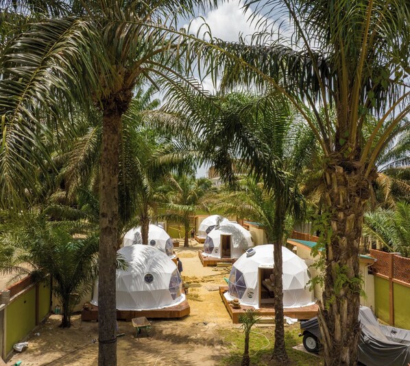 A series of dome-shaped tents arranged in a row, surrounded by palm trees and a clear sky.