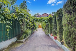 A narrow pathway leading to a building with a red roof, surrounded by greenery and potted plants. - Collection O Airport Road Solina (Srinagar)
