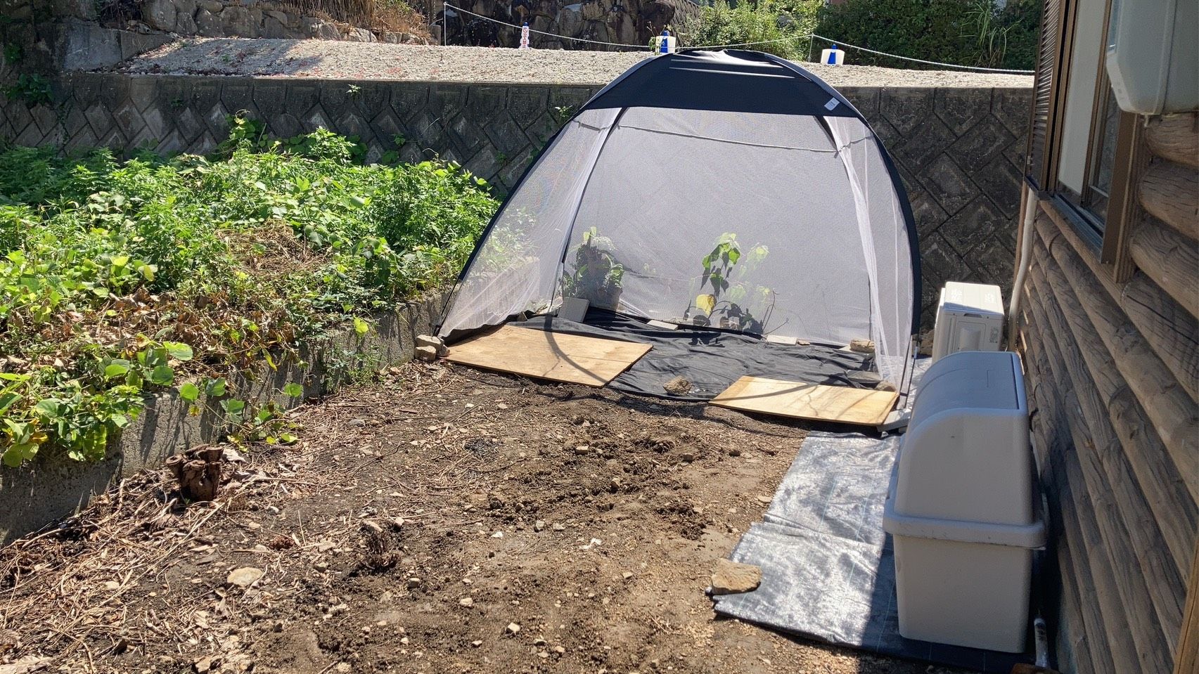 Un espace jardin agrémenté d’une serre, d’un banc en bois et d’un distributeur d’eau.