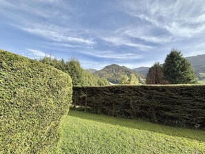 A well-maintained hedge, a grassy area, and a distant view of hills under a partly cloudy sky. - Ground floor, terrace, tv, ski locker, 26m², Praz sur Arly (Praz-sur-Arly)