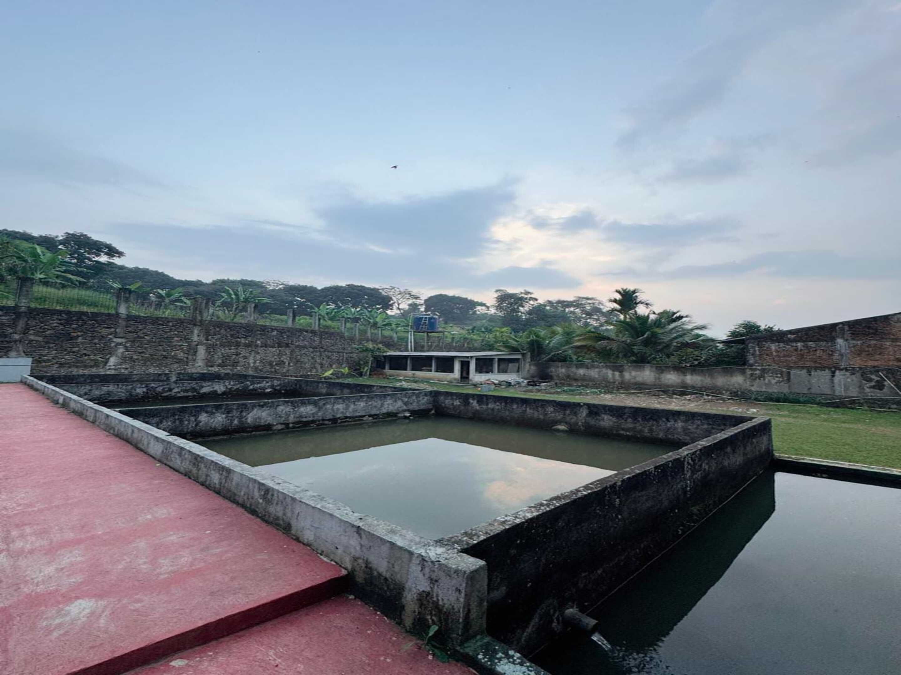 Una fuente de agua con una estructura de concreto, un pequeño edificio y un muro de piedra.