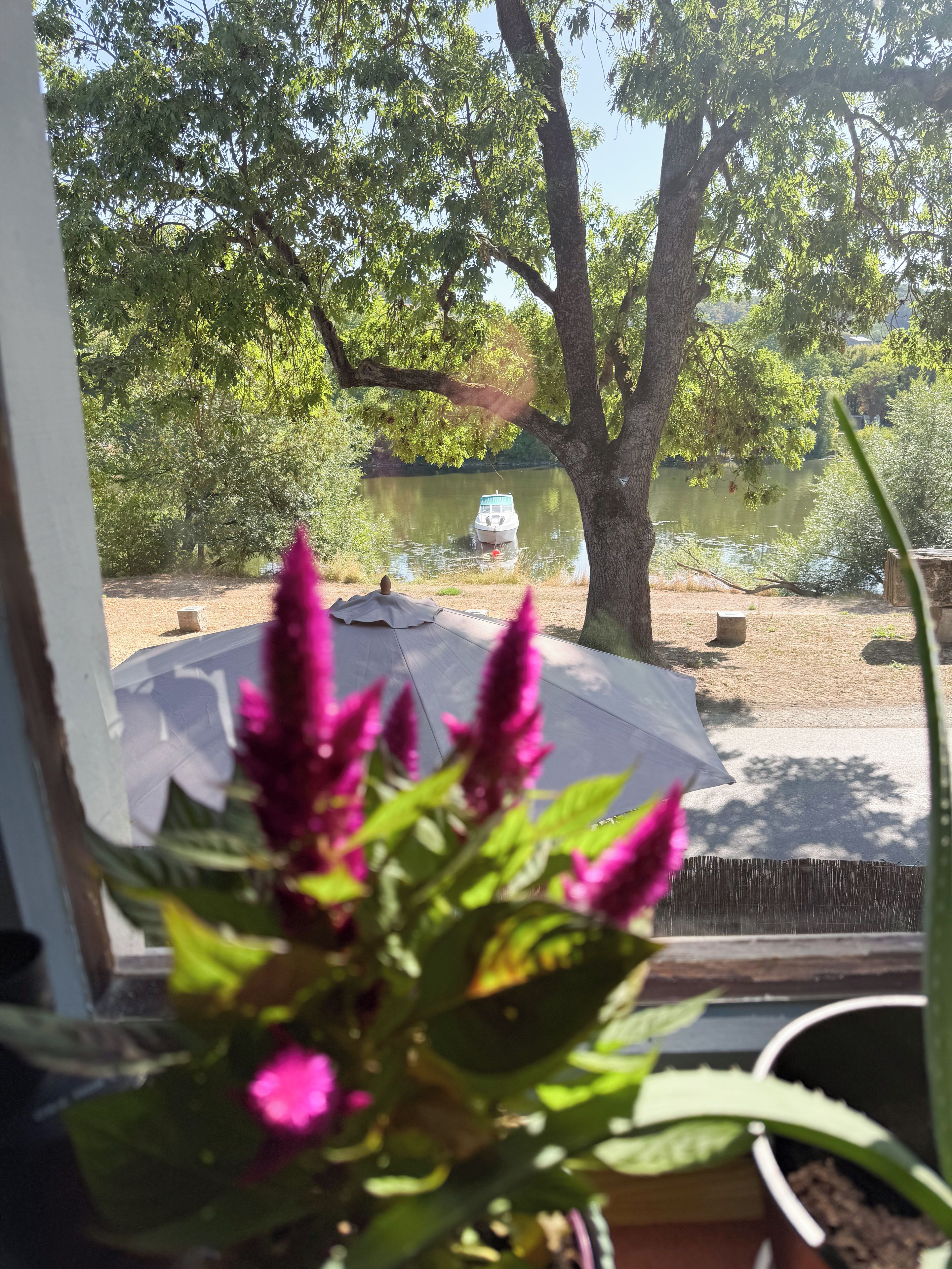 Blick durch ein Fenster, im Vordergrund ein Blumentopf, ein Baum und ein Boot auf dem Wasser.