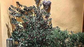 A potted plant with red berries in front of a wall with decorative heart-shaped objects.