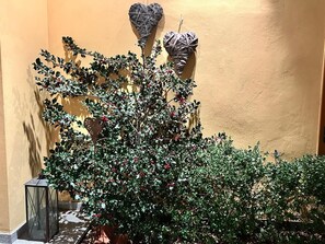 Ein Topfpflanze mit roten Beeren vor einer Wand mit dekorativen herzförmigen Objekten.
