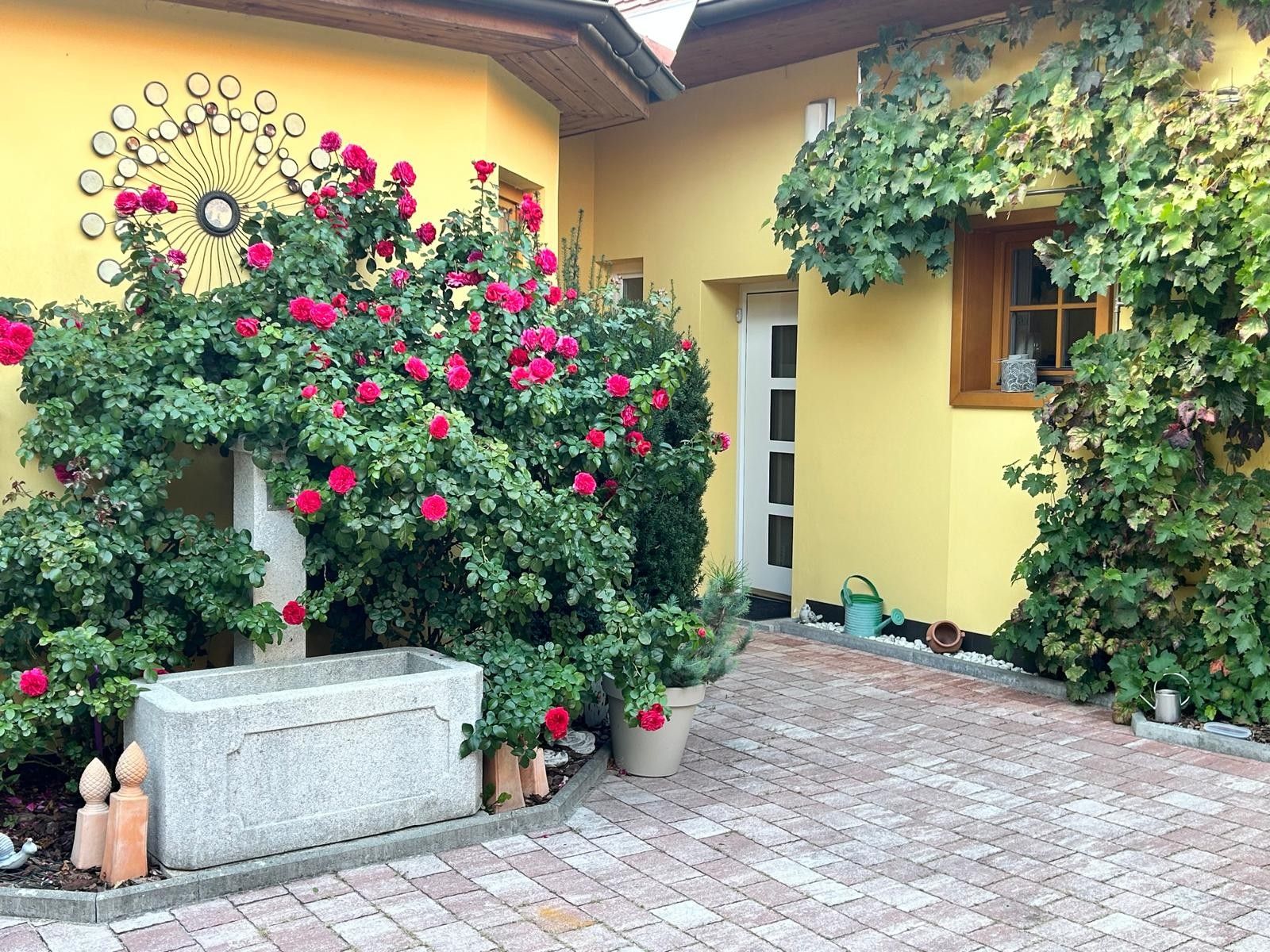 A courtyard with a yellow wall, a rose bush, a sundial, and a stone planter.