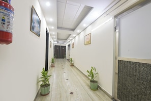 Um corredor com plantas em vasos, quadros nas paredes e uma porta no final.