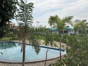 Hồ bơi