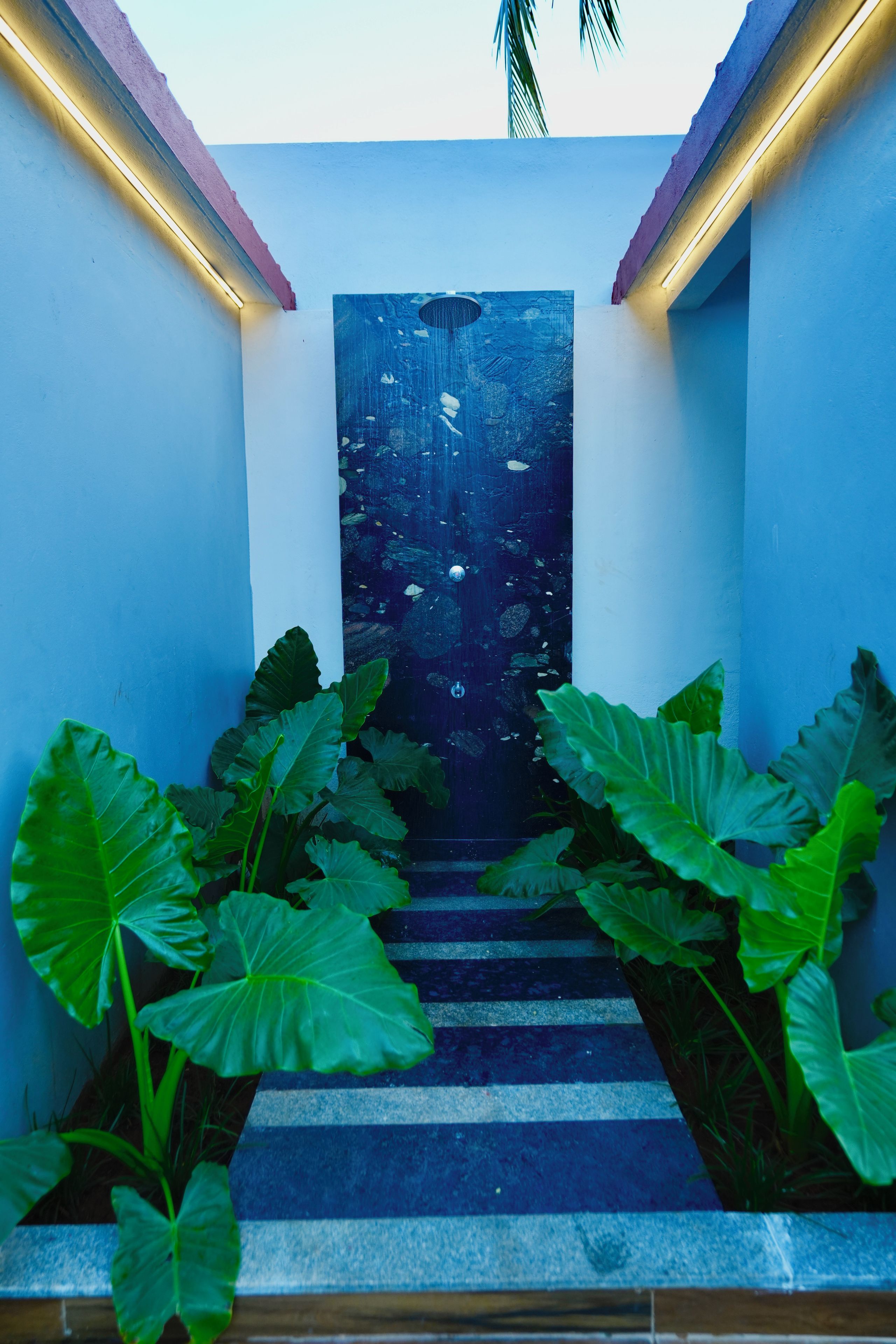 Una escalera conduce a una puerta con una fuente de agua, rodeada de grandes plantas verdes.