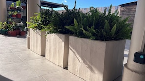 Des jardinières extérieures contenant diverses plantes, un sol carrelé et une structure en béton.