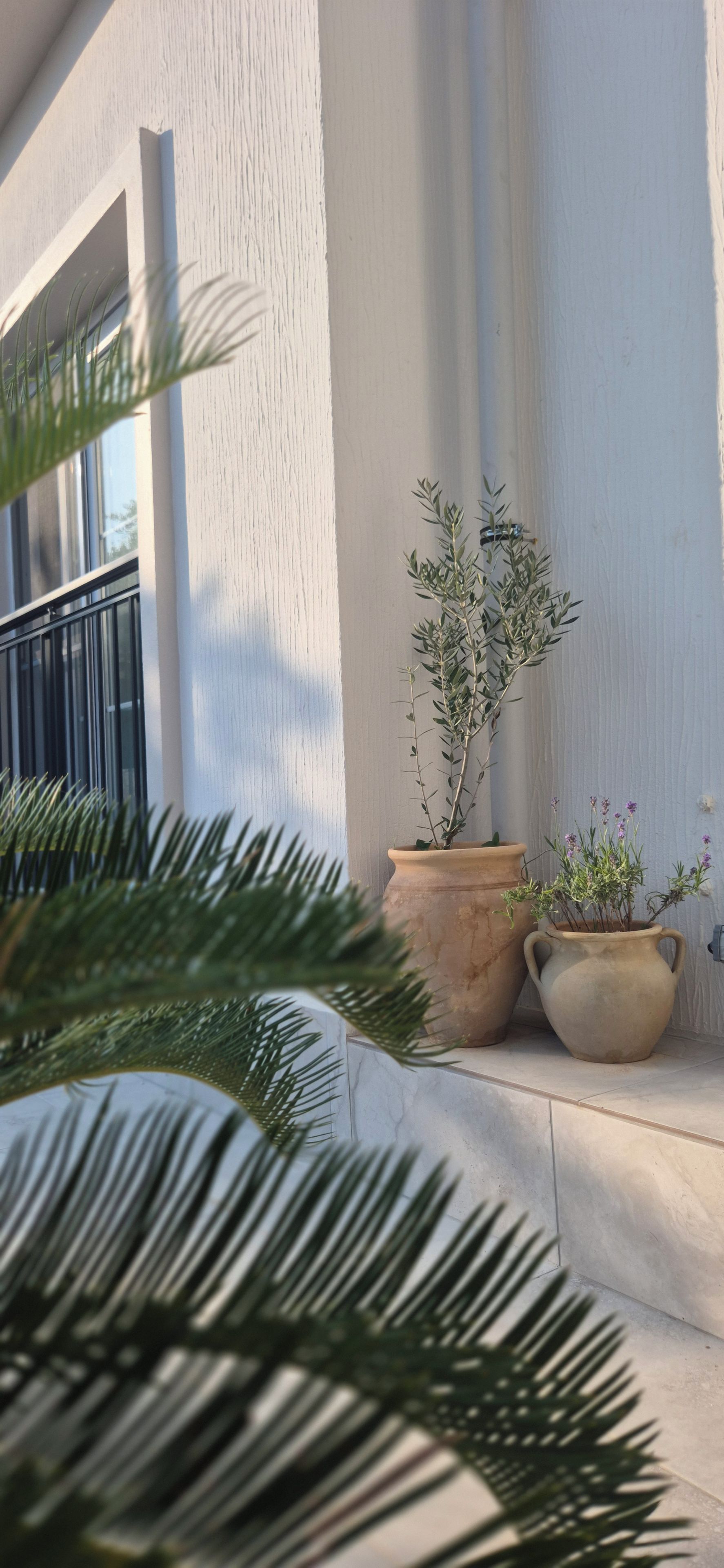 Fachada de edificio con ventana, planta en maceta y repisa de hormigón.
