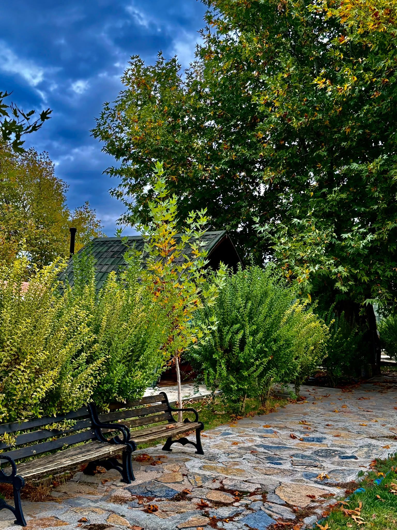 Un vialetto in pietra con una panchina, immerso nel verde e affiancato da un edificio con tetto scuro.