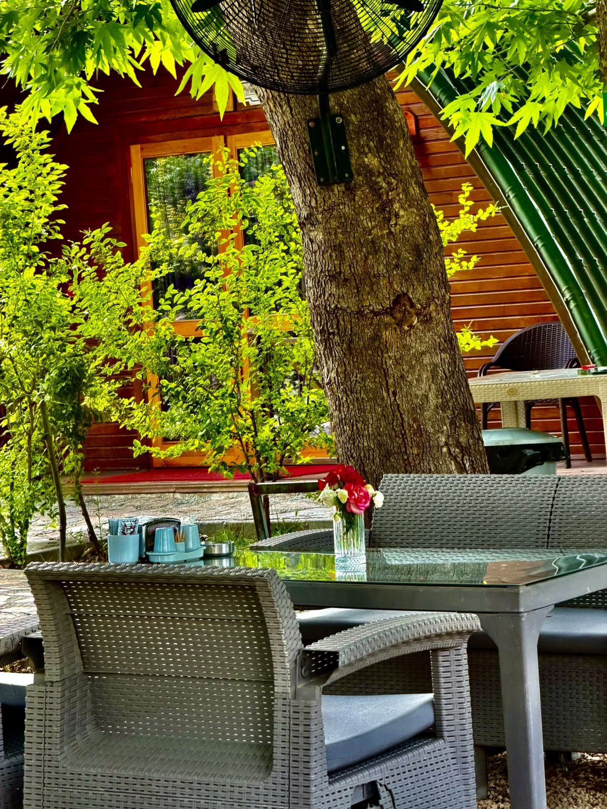 Un área de estar al aire libre con mobiliario de mimbre, una mesa de vidrio y un árbol que proporciona sombra.