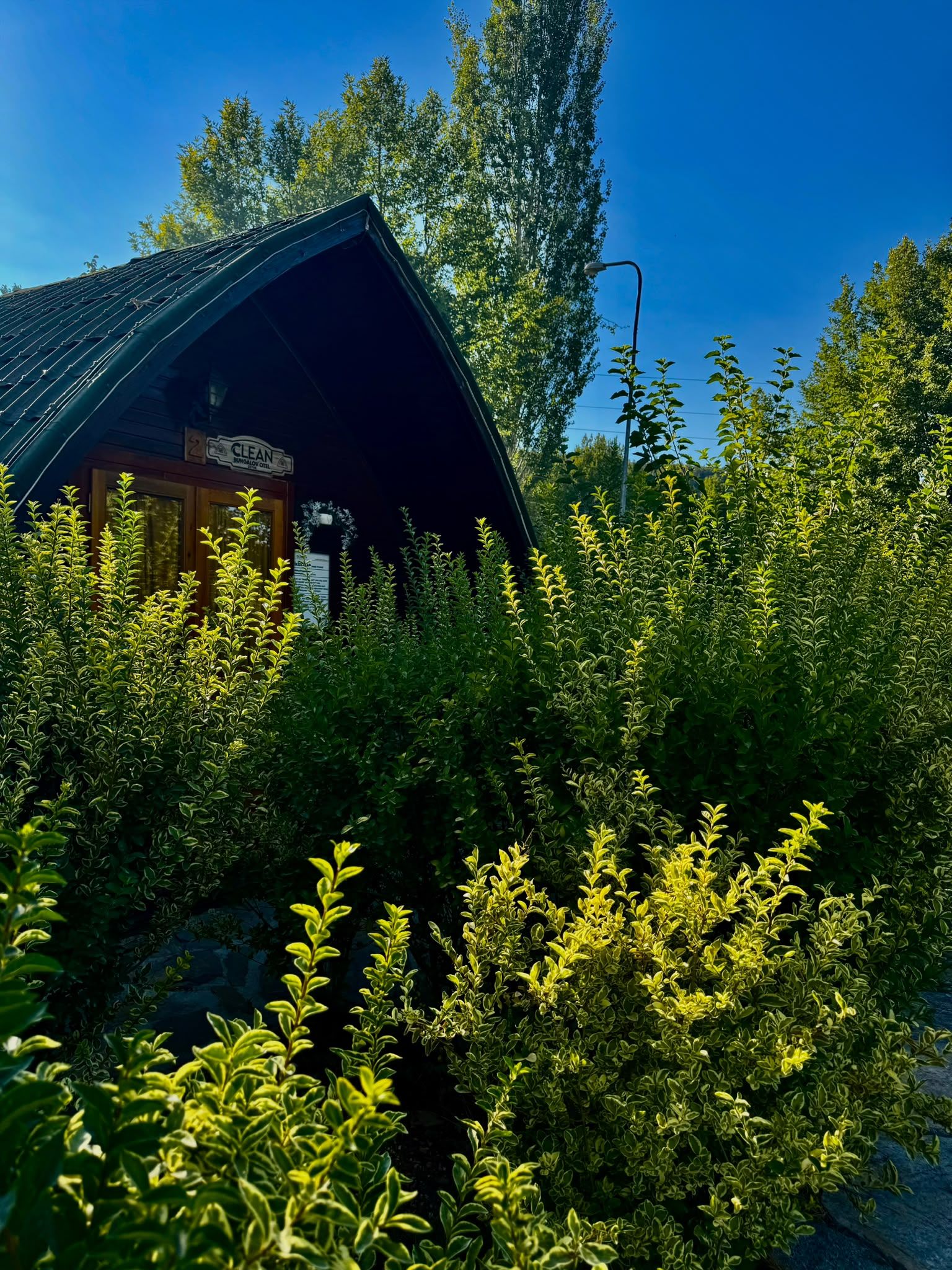 A rustic cabin with a sloped roof, surrounded by dense greenery.