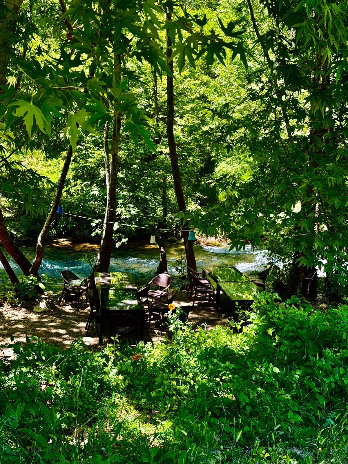 A serene outdoor seating area with tables and chairs, surrounded by lush greenery and a stream.