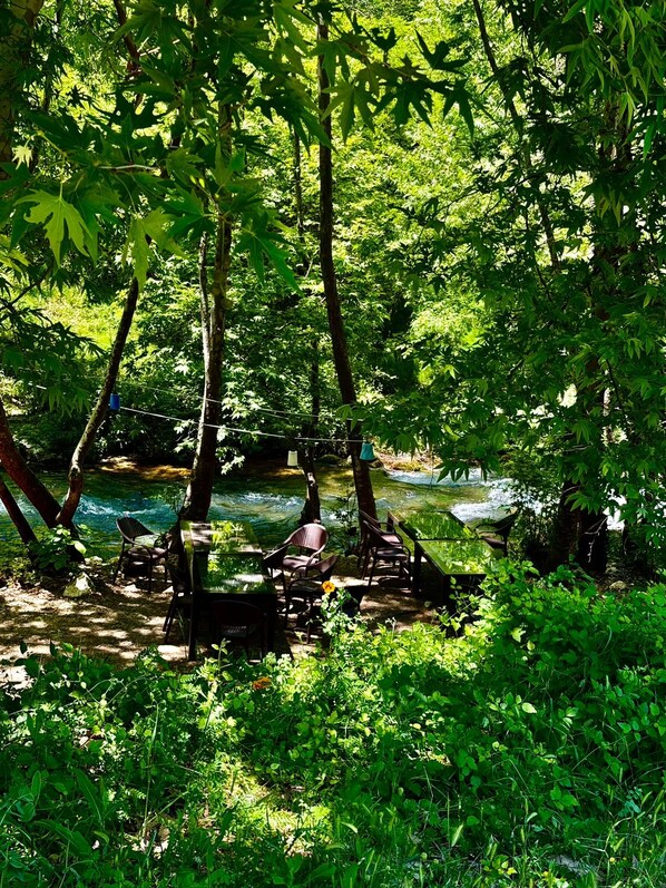 A serene outdoor seating area with tables and chairs, surrounded by lush greenery and a stream.