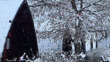 A snow-covered outdoor area with a building, benches, and snow-laden trees.