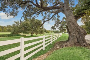 A white fence, a large tree, and a grassy field with cows. - Pond & Longhorn Views! Timeless Round Top Retreat (Round Top)