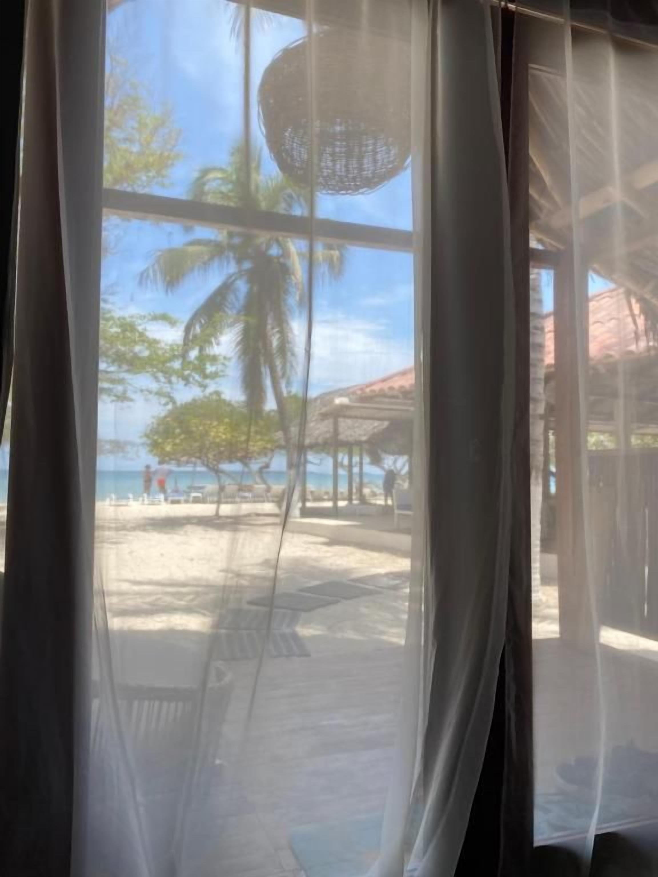 A beach view through a window with a wicker chair and a palm tree.