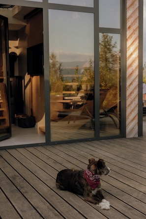 A dog sitting on a wooden deck with a view of a building and trees.