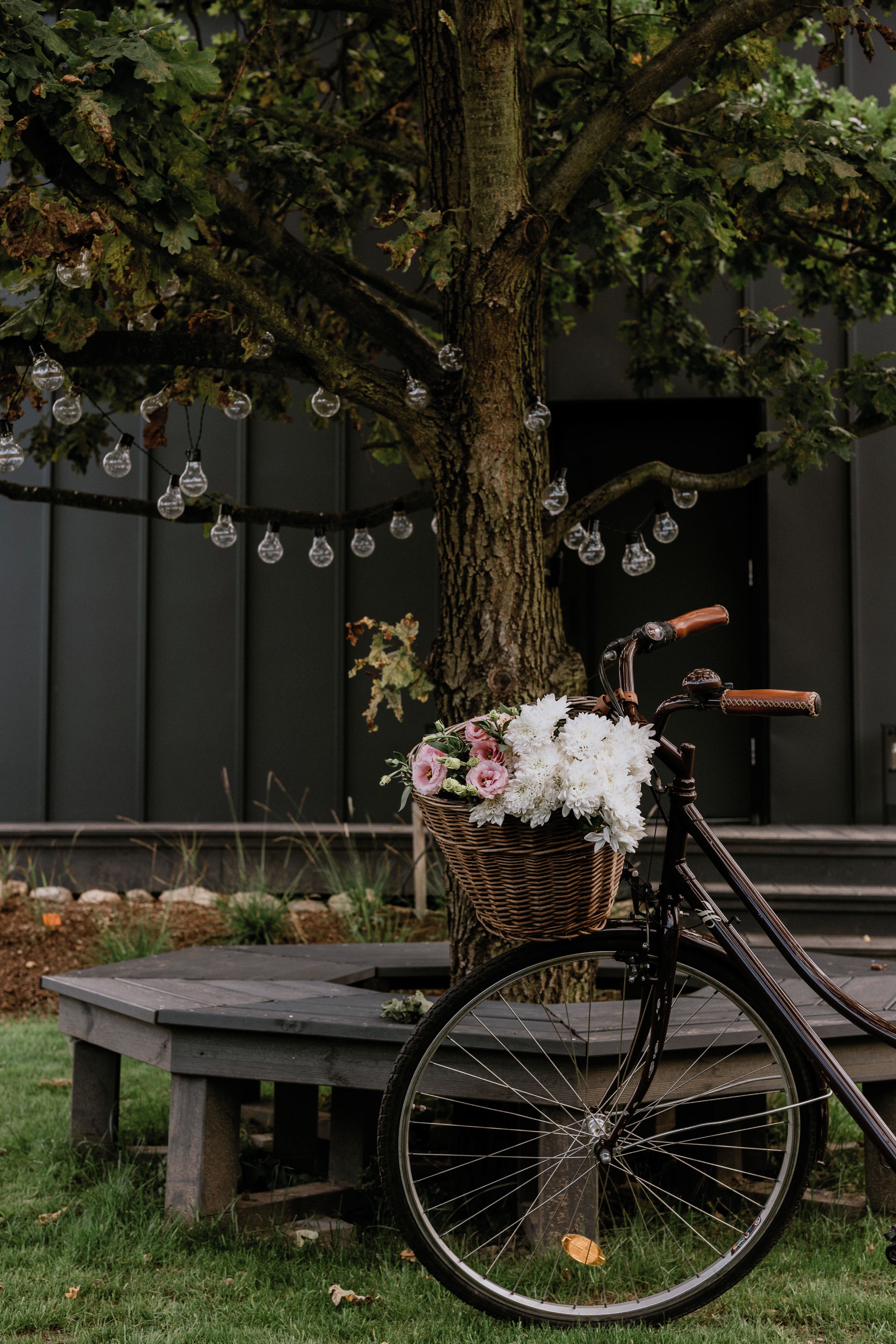 Un vélo avec un panier rempli de fleurs, garé sur de l’herbe, avec un arbre et un banc en arrière-plan.