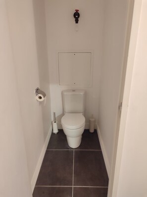 Un bagno piccolo e stretto, con un water, un portasciugamani e un bidet.