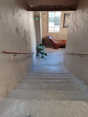 Eine Treppe mit Handlauf, einem Blumentopf und einer Sitzbank in einem Gebäude mit schlichten Wänden und einem Fenster.