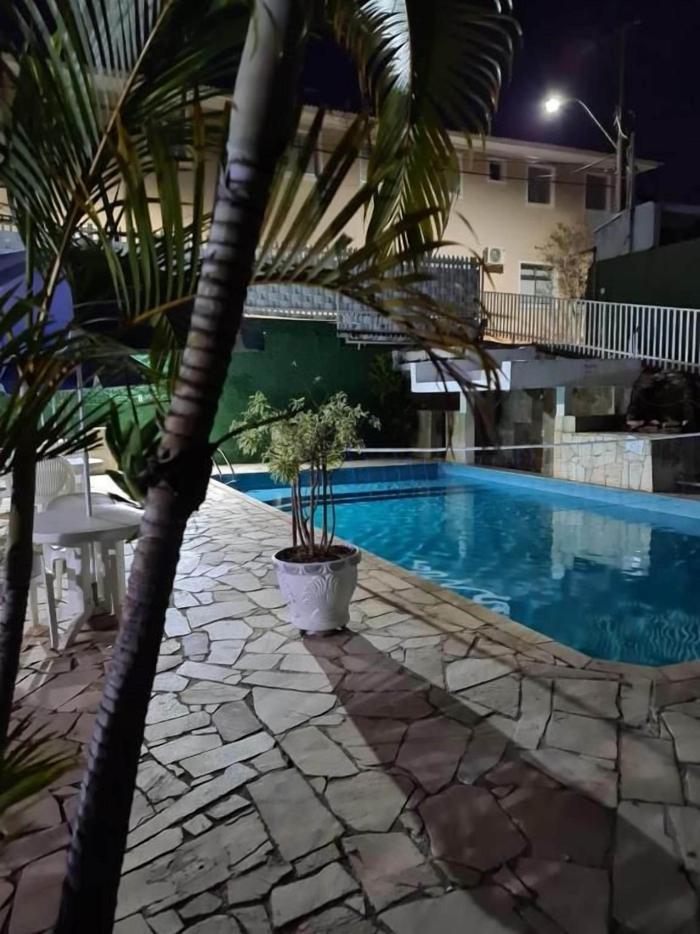 A swimming pool with a stone-tiled deck, surrounded by potted plants and a palm tree.