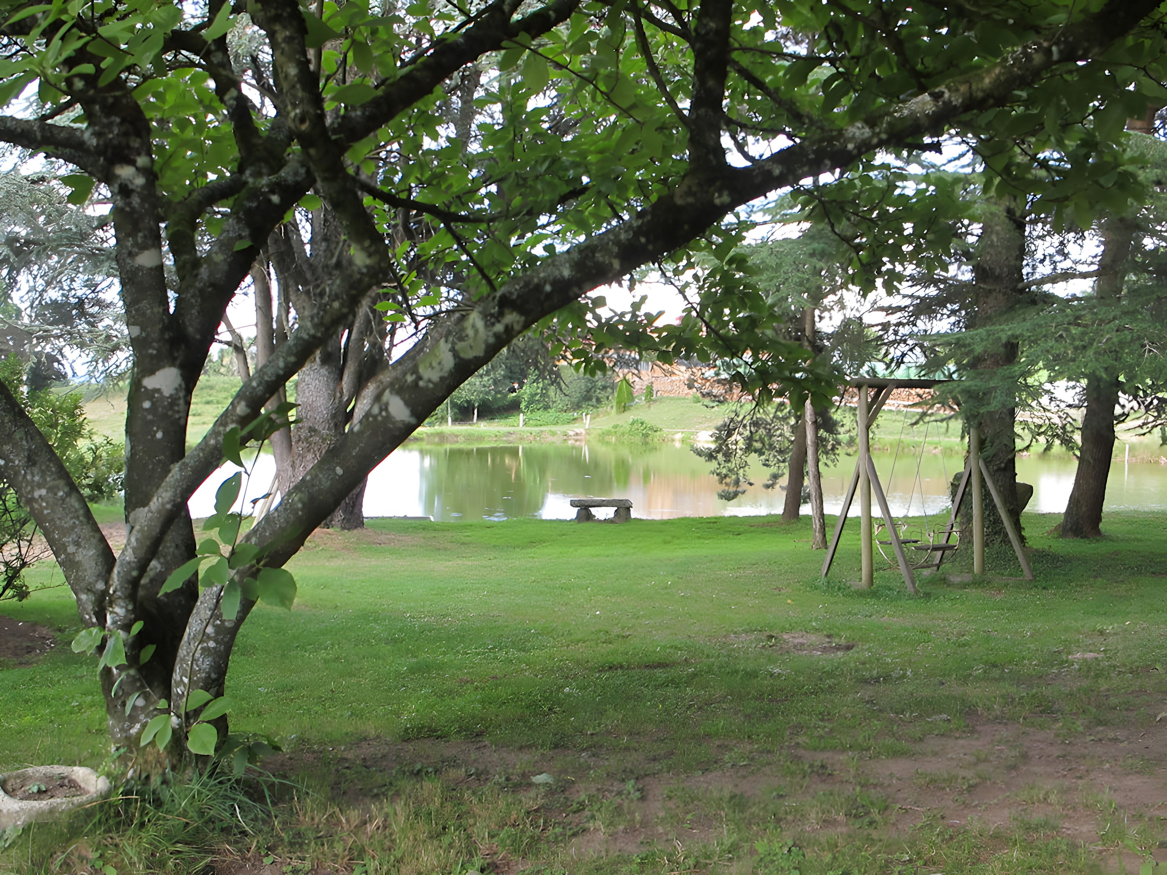 Een park met een vijver, een schommel en een picknicktafel.