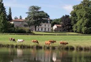 A serene landscape with a pond, grazing cows, and a large building with a red-tiled roof.