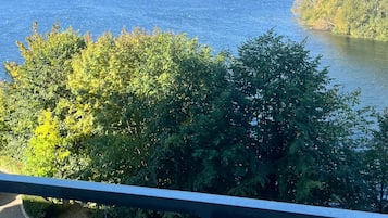 Vista da un balcone su una distesa d'acqua, con alberi sullo sfondo e una costa in lontananza.