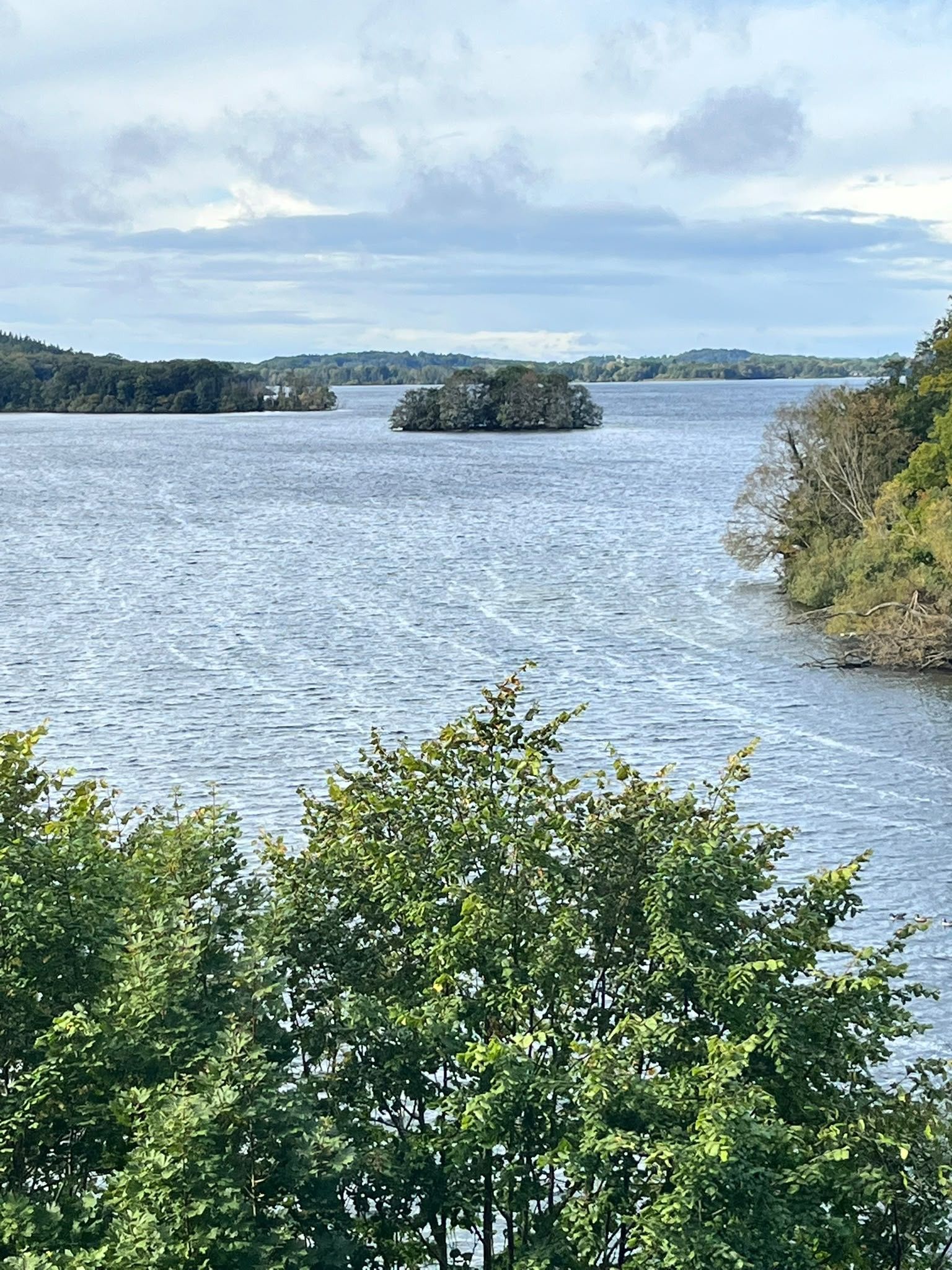 Una masa de agua con una pequeña isla y una orilla cubierta de bosque.