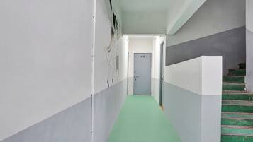 Un pasillo estrecho con alfombra verde, paredes blancas y una puerta gris al final.