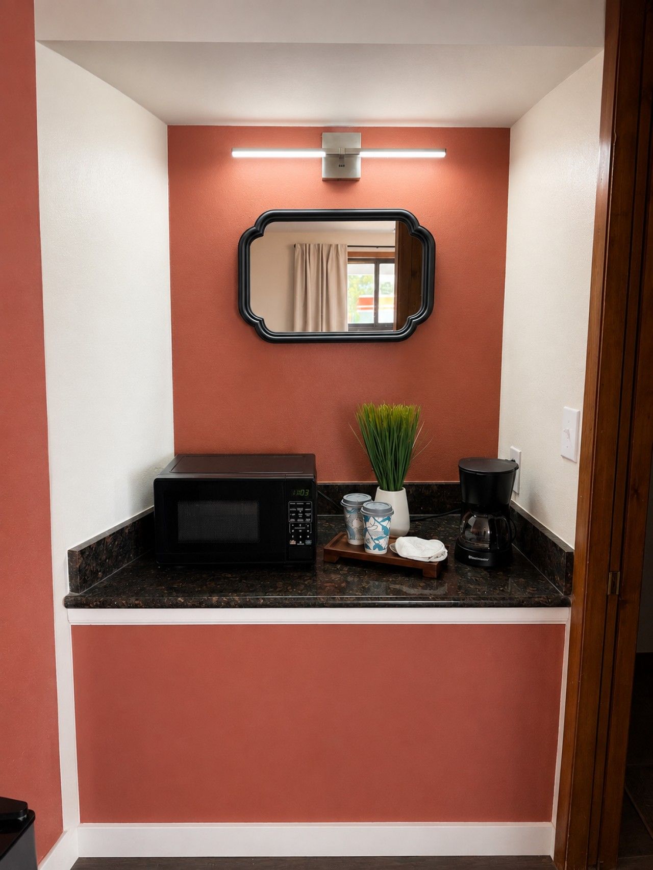A compact kitchenette with a microwave, coffee maker, and a small potted plant on the counter.
