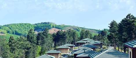 A row of wooden cabins with green roofs, surrounded by lush greenery and hills in the background.