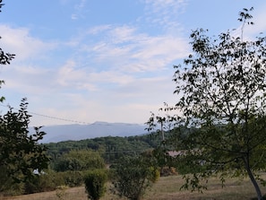 A rural landscape with trees and a clear sky. - Studio in the countryside with a view of the Pyrenees. (Castillon-de-Saint-Martory)