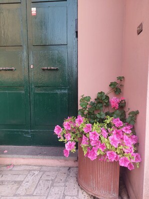 Detalle del exterior