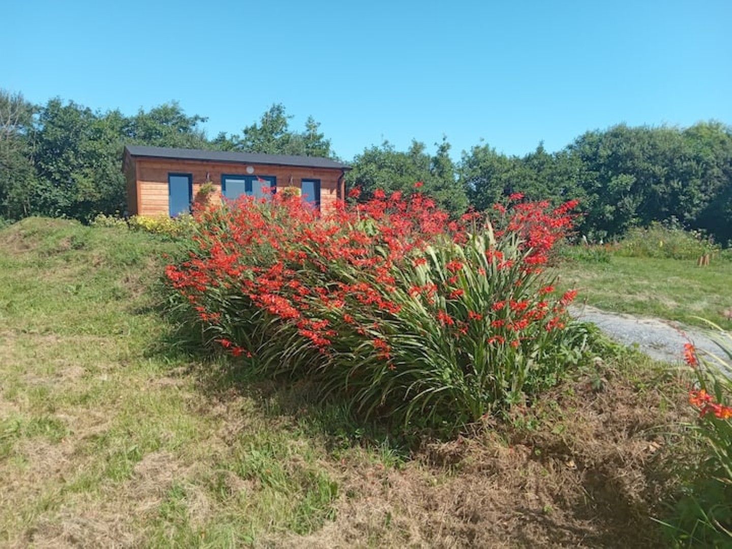 A small wooden cabin with a clear blue sky in the background.