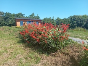 A small wooden cabin with a clear blue sky in the background. - COSY CUTE COUNTRYSIDE CABIN (CLARE)