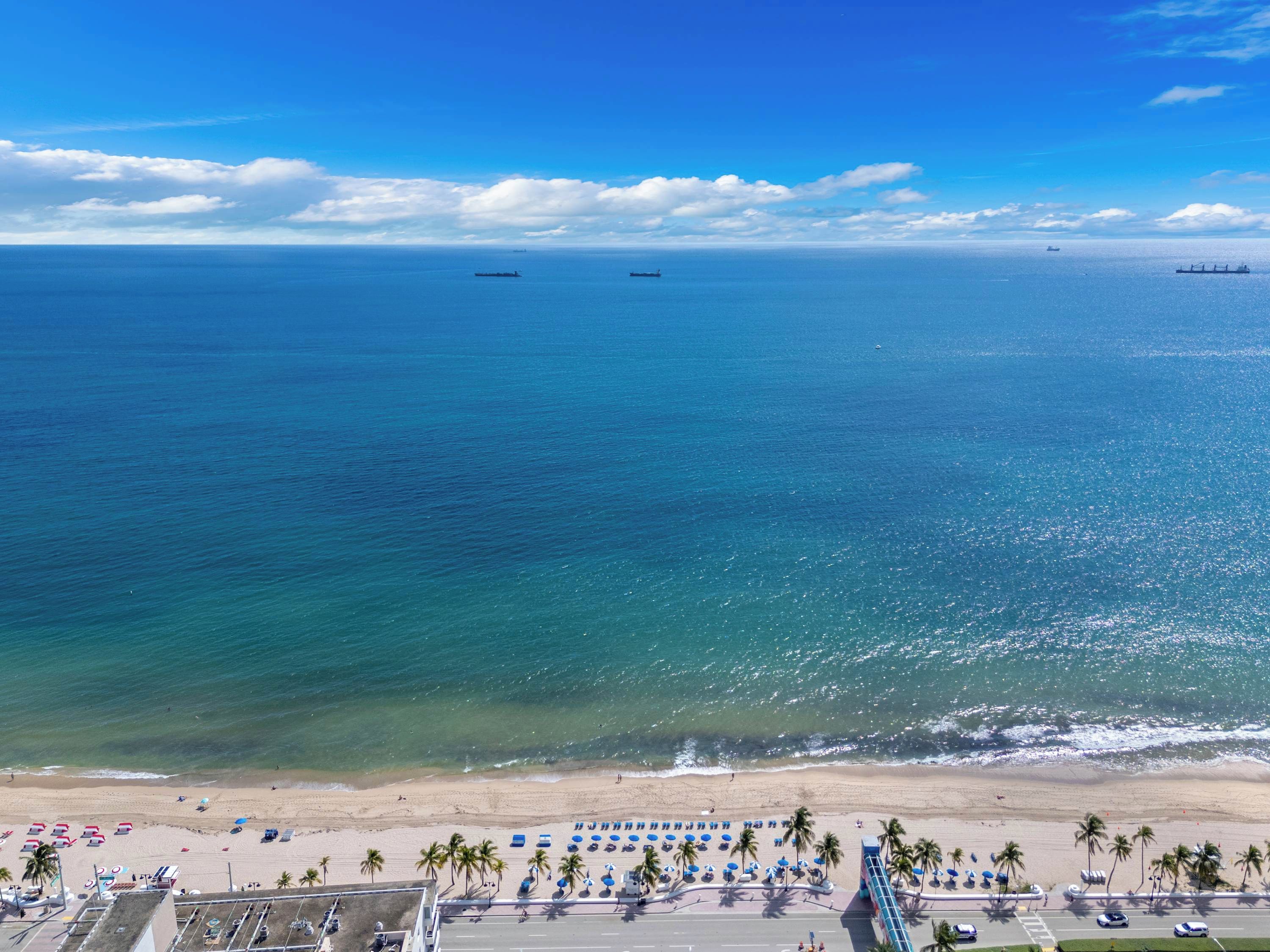 A beach with a parking lot, palm trees, and a clear view of the ocean.