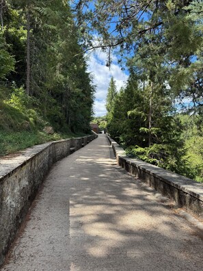 A concrete pathway flanked by dense green foliage, leading towards a distant structure. - Your Perfect Stay Near Pamplona (Ansoáin)