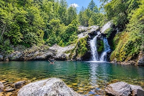 Paisaje natural con cascada, agua cristalina y vegetación exuberante.