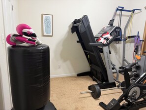 A home gym with a stationary bike, a punching bag, and exercise gloves. - Spacious 5-bedroom house with exercise area for your convenience (Chesapeake)