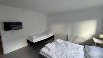 Une chambre d’hôtel avec un lit simple, un petit lit, un téléviseur à écran plat fixé au mur, un radiateur et une table de chevet avec une lampe.